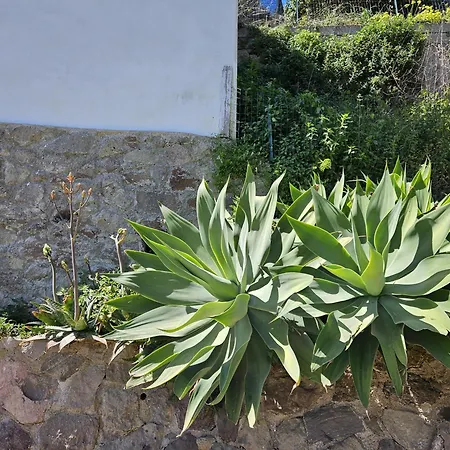 Margot - Authentic Sea View Countryside Appartement *
