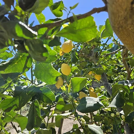Margot - Authentic Sea View Countryside Appartement Lipari (Isola Lipari)