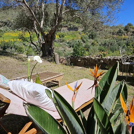Apartmán Margot - Authentic Sea View Countryside